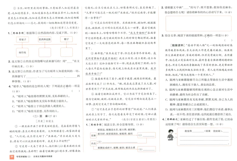 三年级语文上册人教版25秋《拔尖大试卷》_25秋小学语数英习题试卷_语文_1-6年级语文上册人教版25秋《拔尖大试卷》