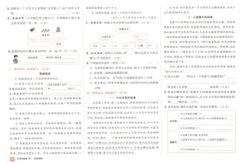 三年级语文上册人教版25秋《拔尖大试卷》_25秋小学语数英习题试卷_语文_1-6年级语文上册人教版25秋《拔尖大试卷》