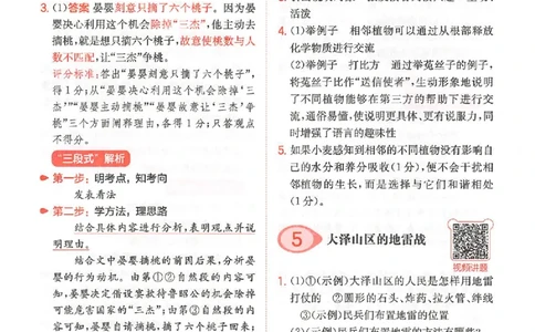小语阅读100篇五年级答案册_25秋《一本小学语文阅读训练100篇第13版》1-6_一本小语阅读训练100篇5年级