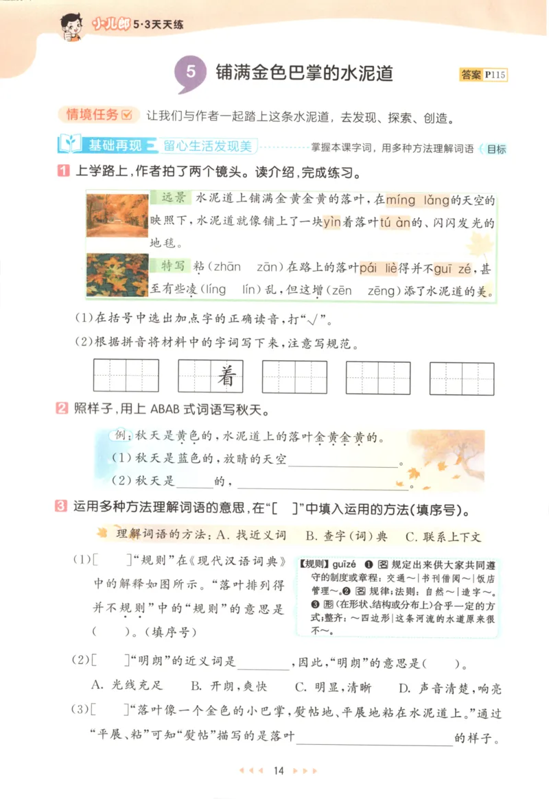 三年级语文上册人教版25秋《53天天练》_25秋小学语数英习题试卷_语文_1-6年级语文上册人教版25秋《53天天练》_三年级语文上册人教版25秋《53天天练》