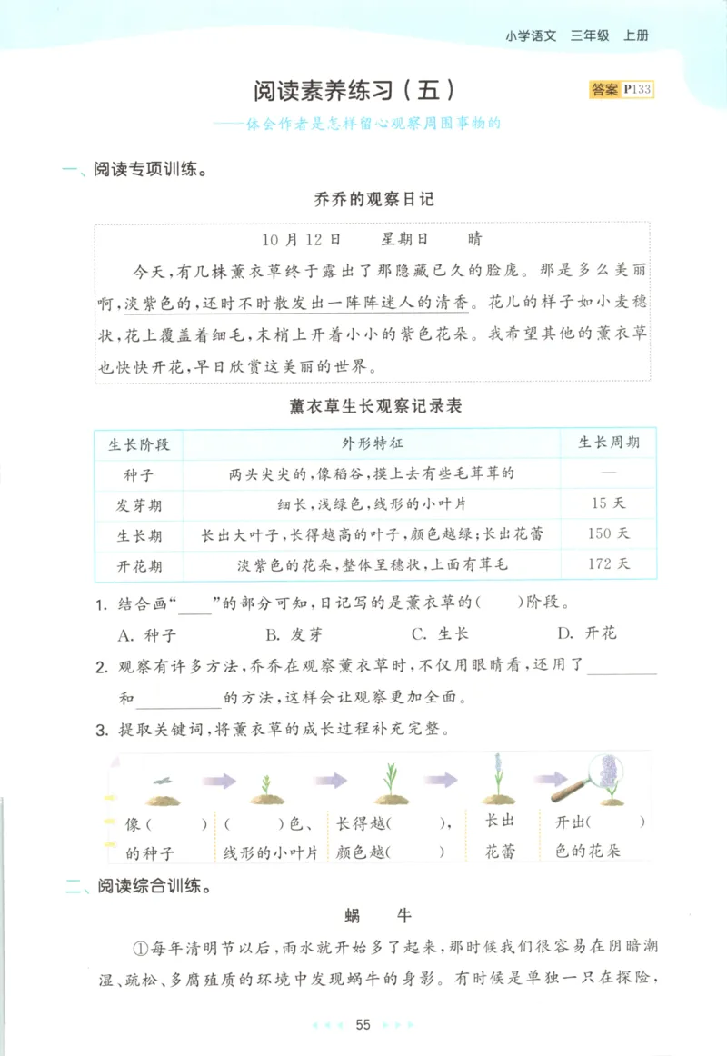 三年级语文上册人教版25秋《53天天练》_25秋小学语数英习题试卷_语文_1-6年级语文上册人教版25秋《53天天练》_三年级语文上册人教版25秋《53天天练》