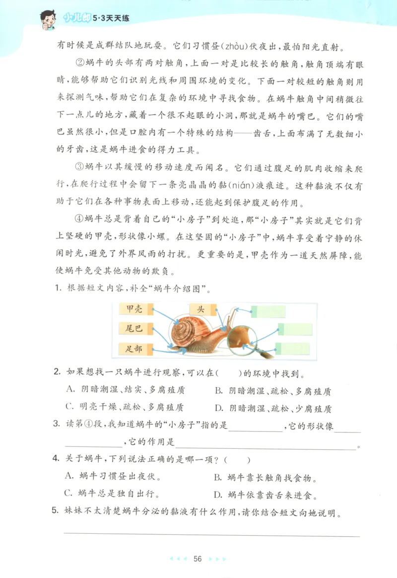 三年级语文上册人教版25秋《53天天练》_25秋小学语数英习题试卷_语文_1-6年级语文上册人教版25秋《53天天练》_三年级语文上册人教版25秋《53天天练》