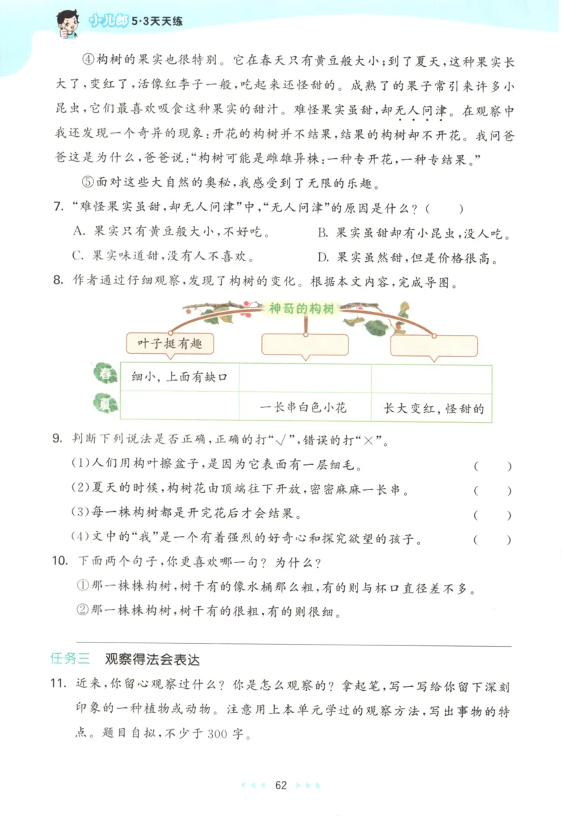 三年级语文上册人教版25秋《53天天练》_25秋小学语数英习题试卷_语文_1-6年级语文上册人教版25秋《53天天练》_三年级语文上册人教版25秋《53天天练》