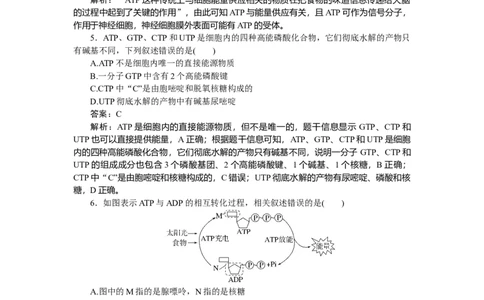 专练19_2025高中教辅（后续还会更新新习题试卷）_2025高中全科《微专题&middot;小练习》_2025高中全科《微专题小练习》_2025版&middot;微专题小练习&middot;生物学&middot;