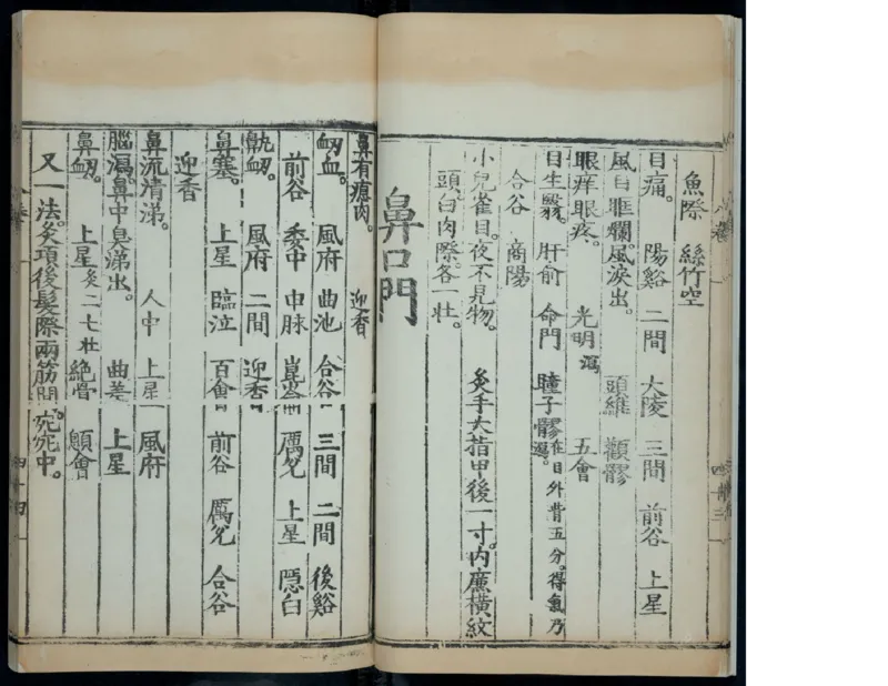 12_绝版书_天涯系列_t涯_绝版古籍电子书合集（13大类）_医书类_针灸大成