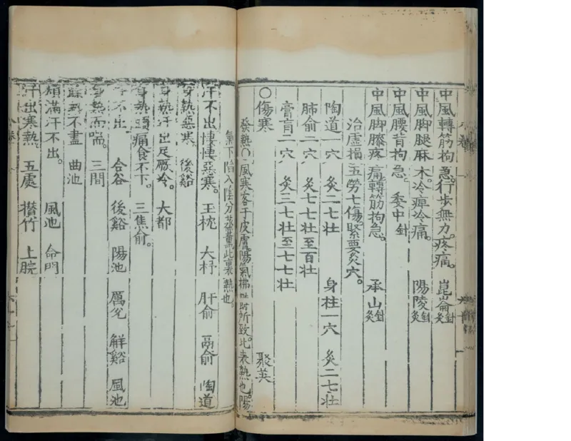 12_绝版书_天涯系列_t涯_绝版古籍电子书合集（13大类）_医书类_针灸大成