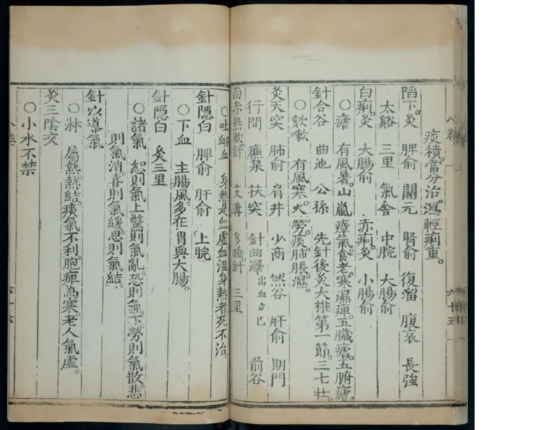 12_绝版书_天涯系列_t涯_绝版古籍电子书合集（13大类）_医书类_针灸大成