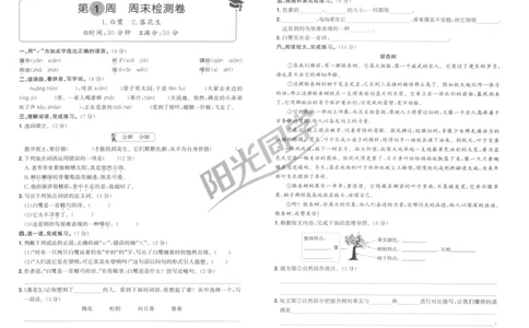 五年级语文上册人教版25秋《阳光同学提优新卷》周末小测卷_25秋小学语数英习题试卷_语文_语文《阳光同学提优新卷》_五年级语文上册人教版25秋《阳光同学提优新卷》