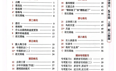 五年级语文人教版上册25秋《王朝霞活页默写》_25秋小学语数英习题试卷_语文_1-6年级语文人教版上册25秋《王朝霞活页默写》_五年级语文人教版上册25秋《王朝霞活页默写》