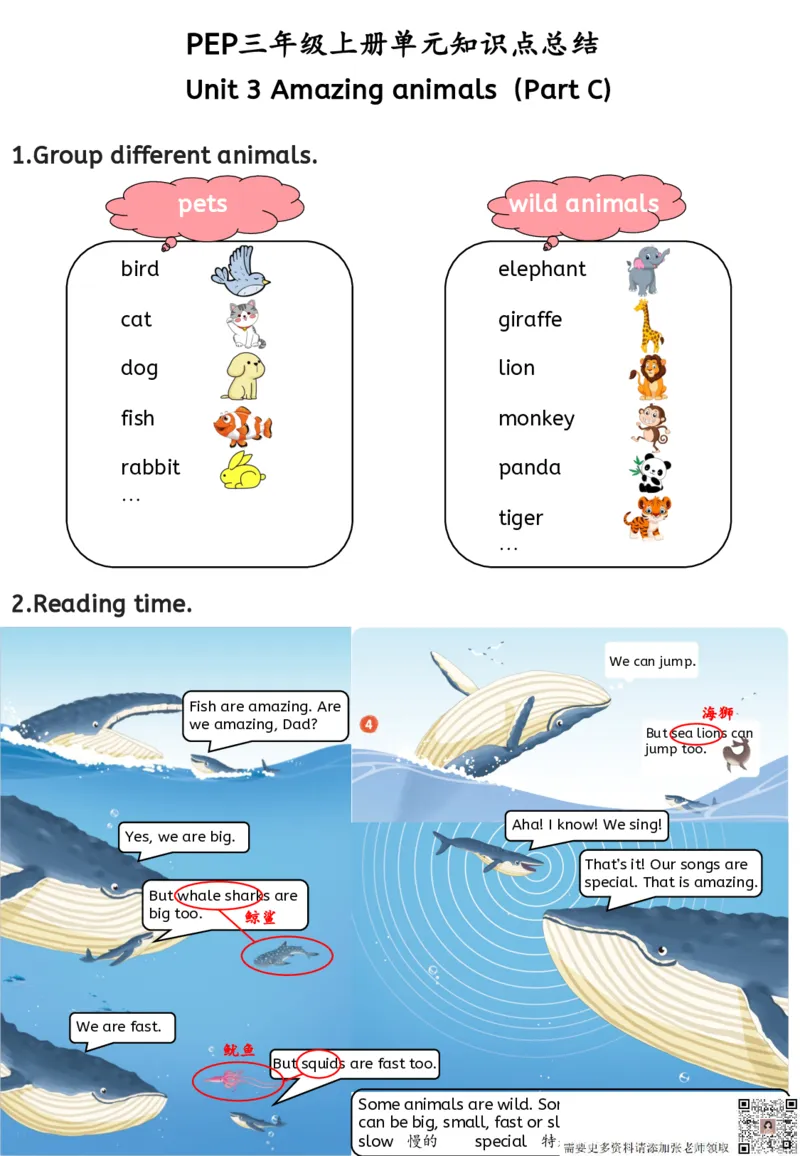 新三上英语人教pep知识点总结_三年级上下册资料_三年级上册小红书同款资料_三年级(1)