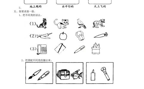 专项练习-分类与比较_一年级上下册资料_小学一年级学习资料-25年更新版_1-03、小学一年级数学上册_青岛63制_07、专项练习