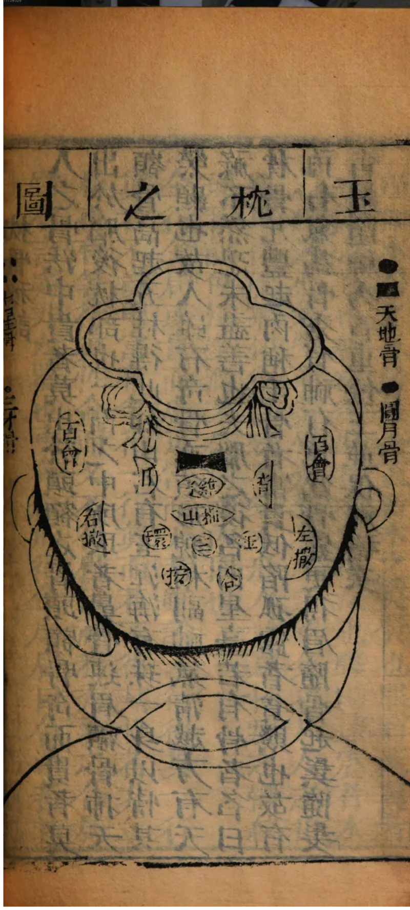 05.《伏羲密码》[第二季][贺宝栋编著][江苏凤凰文艺出版社][978-7-5594-1800-5][2018.5][P288]_绝版书_天涯系列_t涯_天涯社区优质书籍