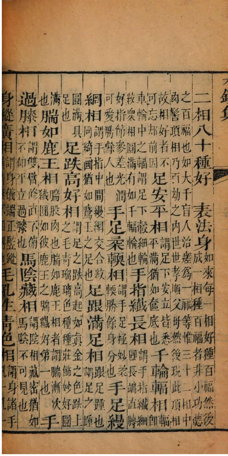 05.《伏羲密码》[第二季][贺宝栋编著][江苏凤凰文艺出版社][978-7-5594-1800-5][2018.5][P288]_绝版书_天涯系列_t涯_天涯社区优质书籍