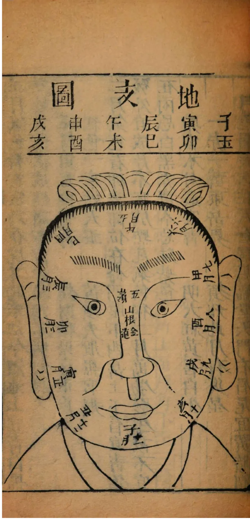 05.《伏羲密码》[第二季][贺宝栋编著][江苏凤凰文艺出版社][978-7-5594-1800-5][2018.5][P288]_绝版书_天涯系列_t涯_天涯社区优质书籍