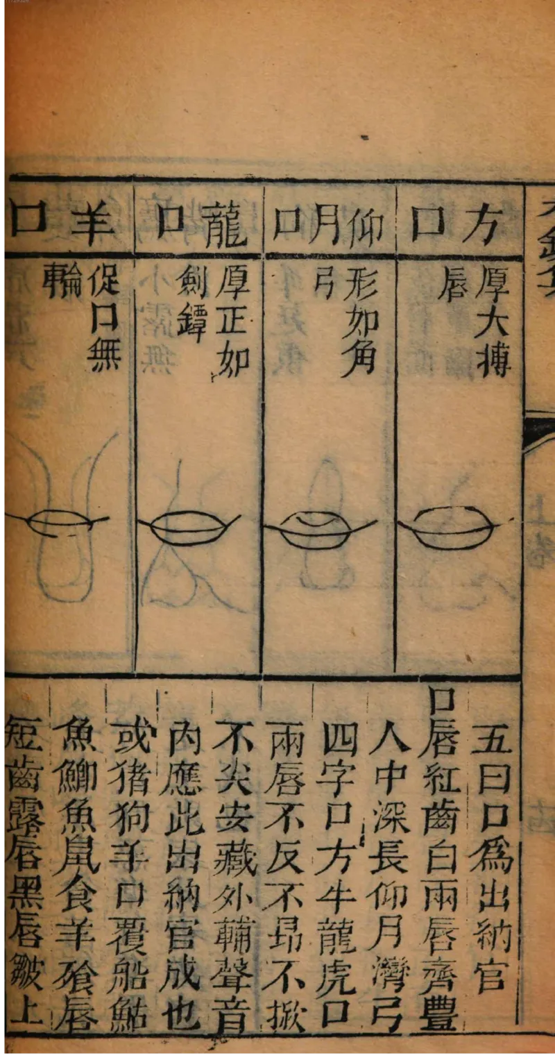 05.《伏羲密码》[第二季][贺宝栋编著][江苏凤凰文艺出版社][978-7-5594-1800-5][2018.5][P288]_绝版书_天涯系列_t涯_天涯社区优质书籍