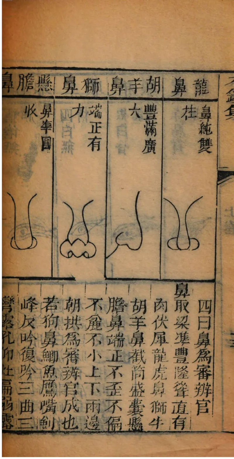 05.《伏羲密码》[第二季][贺宝栋编著][江苏凤凰文艺出版社][978-7-5594-1800-5][2018.5][P288]_绝版书_天涯系列_t涯_天涯社区优质书籍