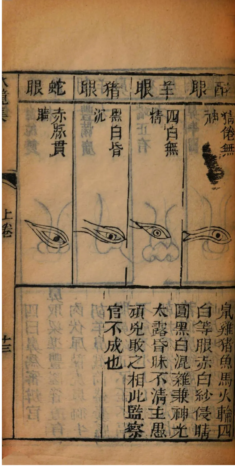 05.《伏羲密码》[第二季][贺宝栋编著][江苏凤凰文艺出版社][978-7-5594-1800-5][2018.5][P288]_绝版书_天涯系列_t涯_天涯社区优质书籍