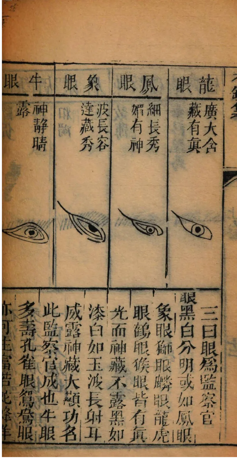 05.《伏羲密码》[第二季][贺宝栋编著][江苏凤凰文艺出版社][978-7-5594-1800-5][2018.5][P288]_绝版书_天涯系列_t涯_天涯社区优质书籍