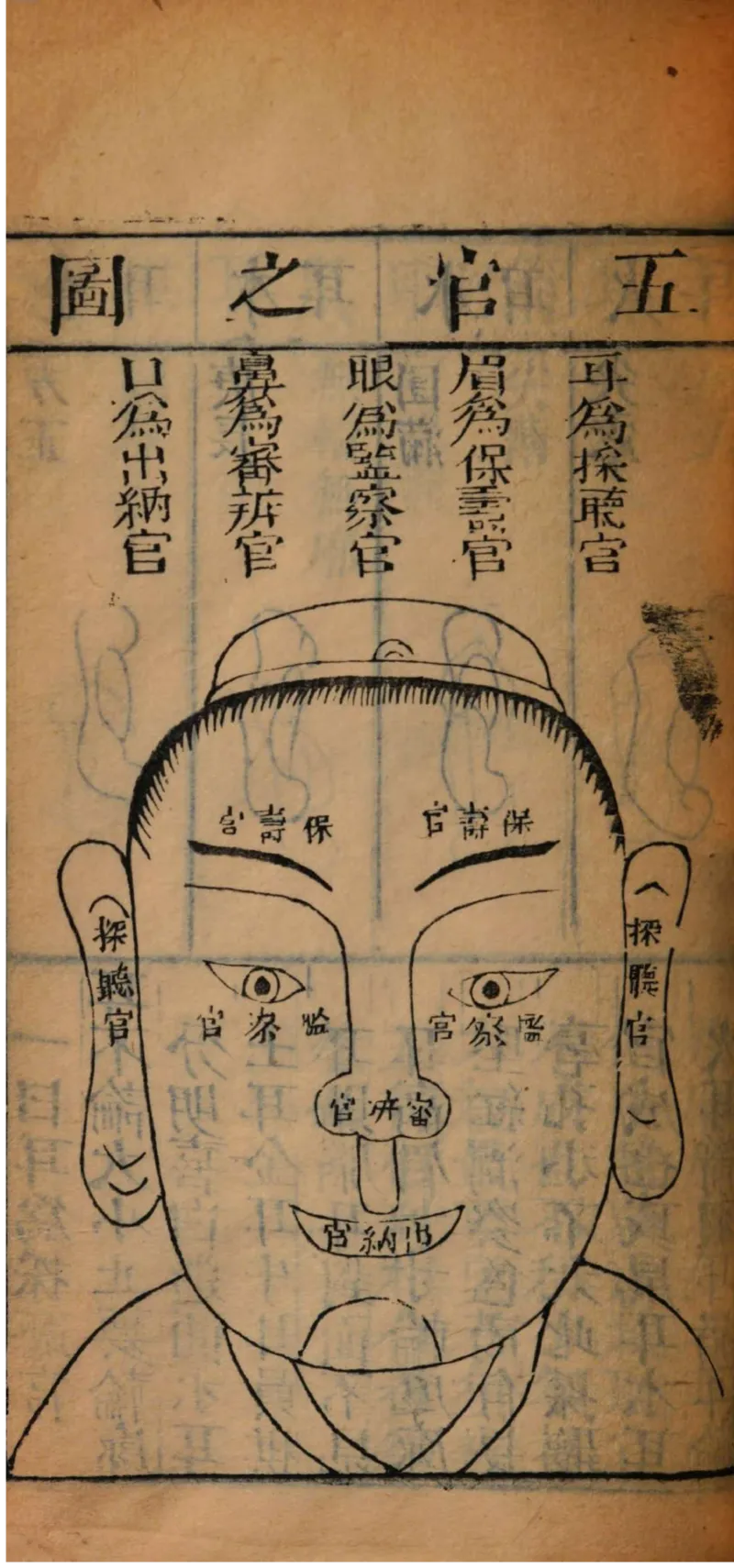 05.《伏羲密码》[第二季][贺宝栋编著][江苏凤凰文艺出版社][978-7-5594-1800-5][2018.5][P288]_绝版书_天涯系列_t涯_天涯社区优质书籍