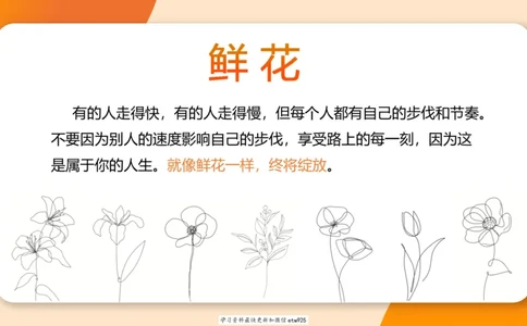 套题训练320250112183704_2026考公资料_（05）超格_行测申论2025超格合集(行测&申论&政治理论)_行测申论2025省考超格超大杯刷题课（五合一）_课件_图推