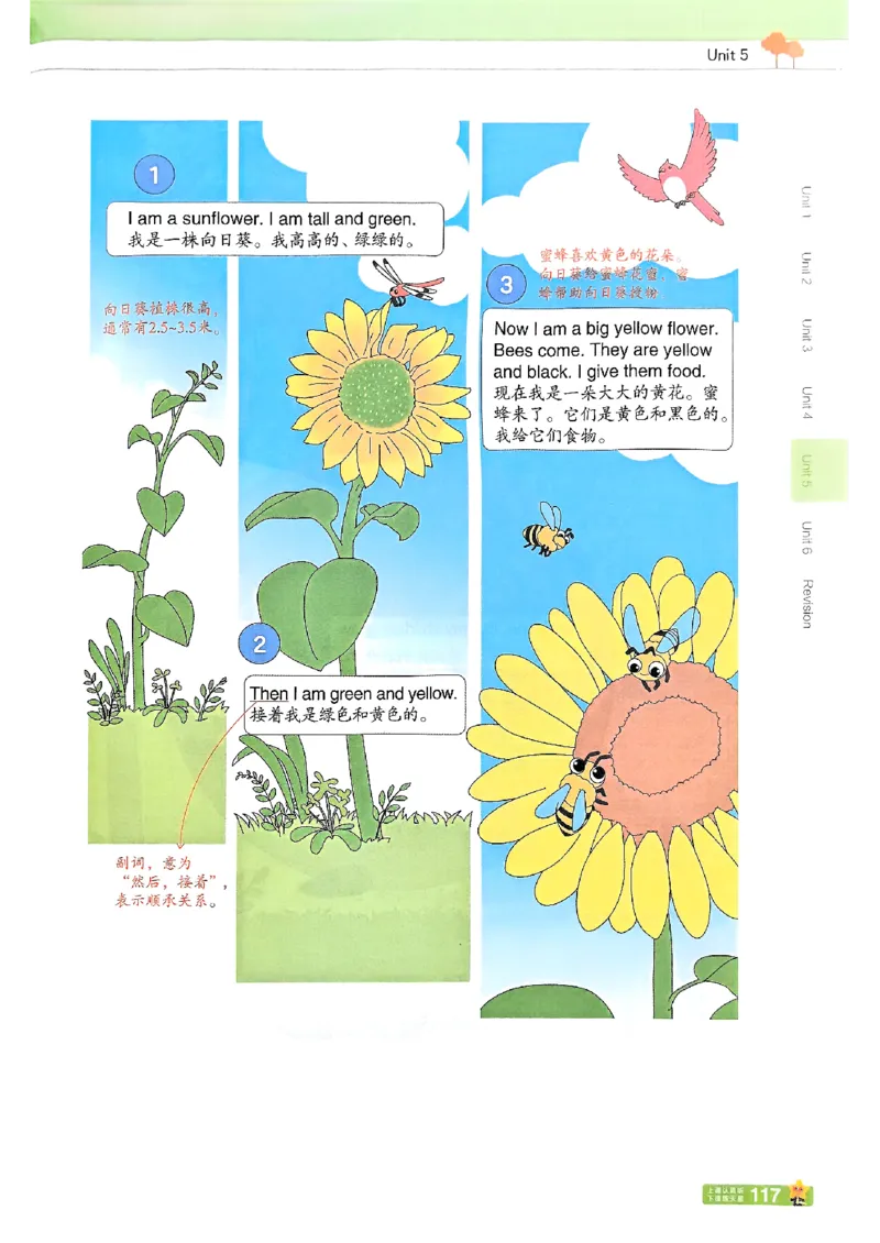 三年级英语人教PEP版上册25秋《教材帮》_25秋小学语数英习题试卷_英语_人教版_25秋三年级上册英语人教PEP版《教材帮》（完整版）