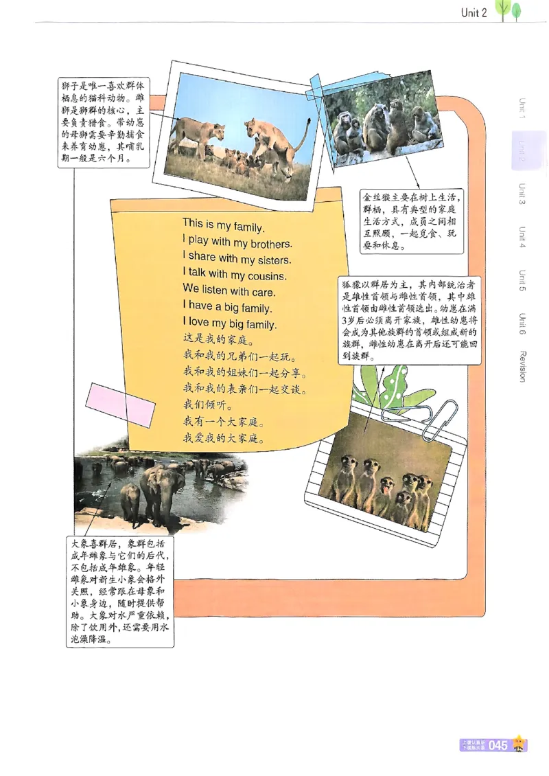 三年级英语人教PEP版上册25秋《教材帮》_25秋小学语数英习题试卷_英语_人教版_25秋三年级上册英语人教PEP版《教材帮》（完整版）