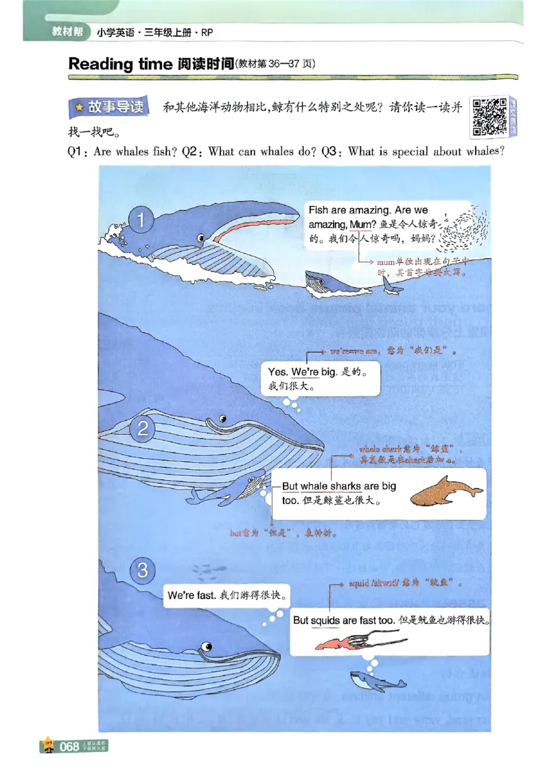 三年级英语人教PEP版上册25秋《教材帮》_25秋小学语数英习题试卷_英语_人教版_25秋三年级上册英语人教PEP版《教材帮》（完整版）