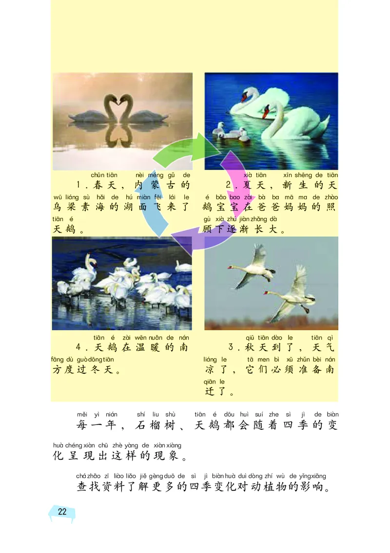 义务教育教科书&middot;科学二年级下册（湘科版）_二年级上下册资料_小学二年级学习资料-25年更新版_2-10、小学二年级科学下册