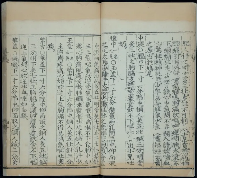 10_绝版书_天涯系列_t涯_绝版古籍电子书合集（13大类）_医书类_针灸大成