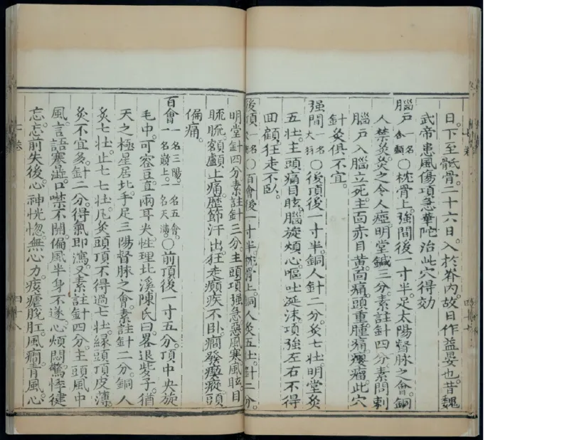 10_绝版书_天涯系列_t涯_绝版古籍电子书合集（13大类）_医书类_针灸大成