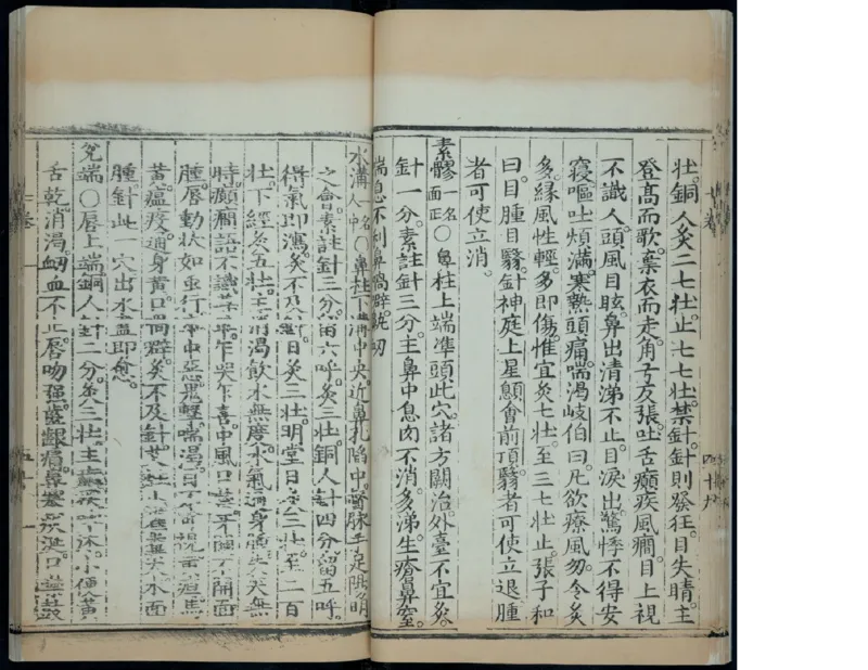 10_绝版书_天涯系列_t涯_绝版古籍电子书合集（13大类）_医书类_针灸大成