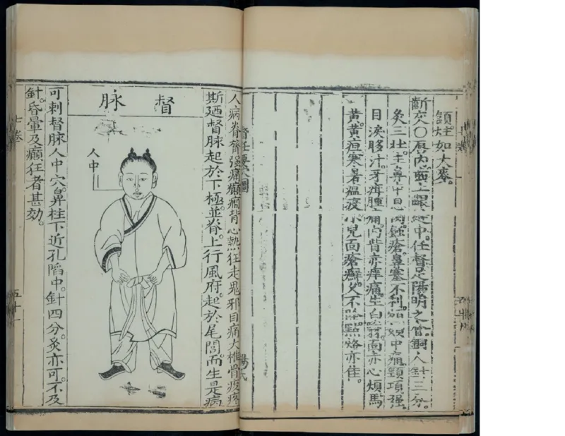 10_绝版书_天涯系列_t涯_绝版古籍电子书合集（13大类）_医书类_针灸大成