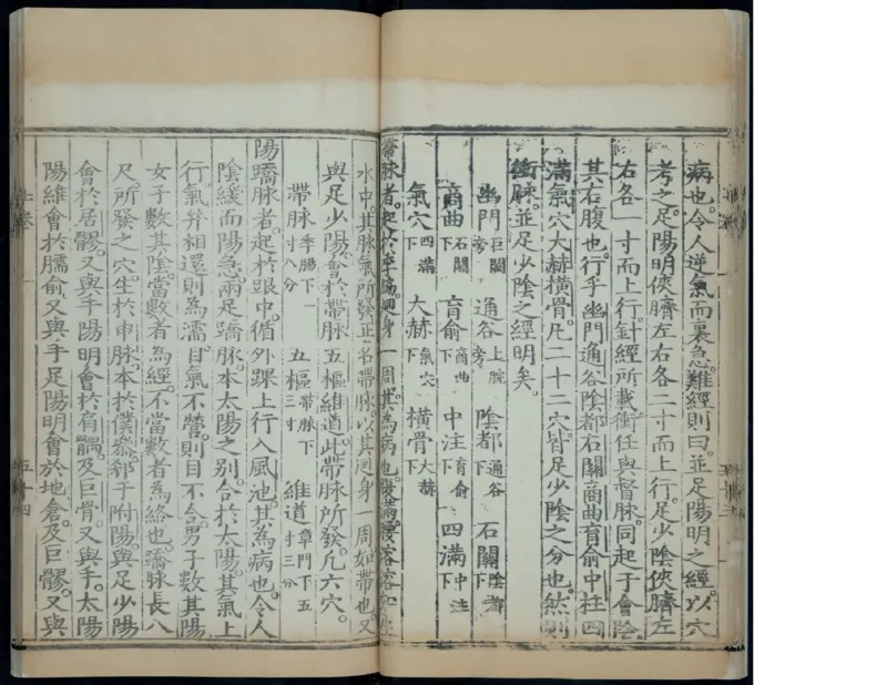 10_绝版书_天涯系列_t涯_绝版古籍电子书合集（13大类）_医书类_针灸大成