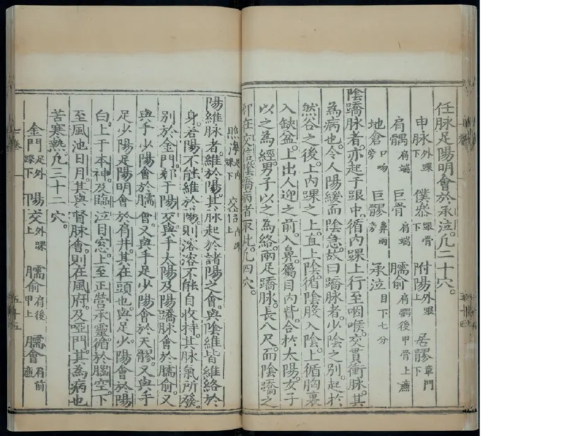 10_绝版书_天涯系列_t涯_绝版古籍电子书合集（13大类）_医书类_针灸大成