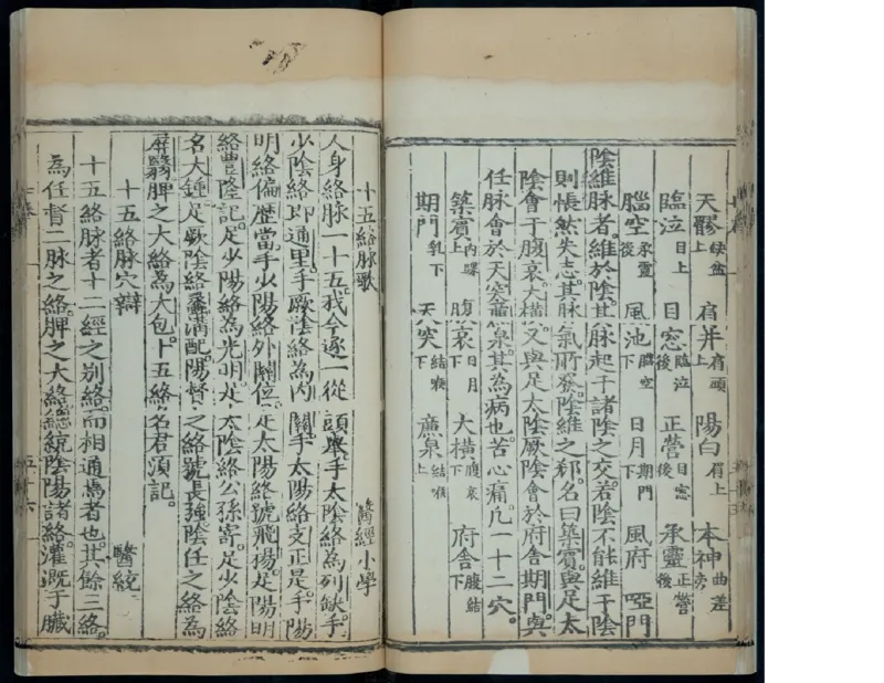 10_绝版书_天涯系列_t涯_绝版古籍电子书合集（13大类）_医书类_针灸大成