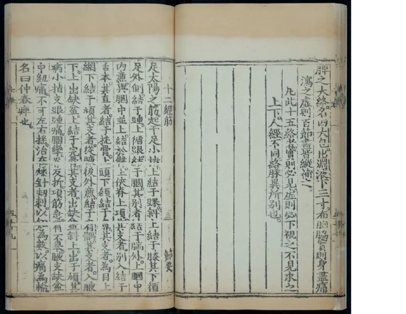 10_绝版书_天涯系列_t涯_绝版古籍电子书合集（13大类）_医书类_针灸大成