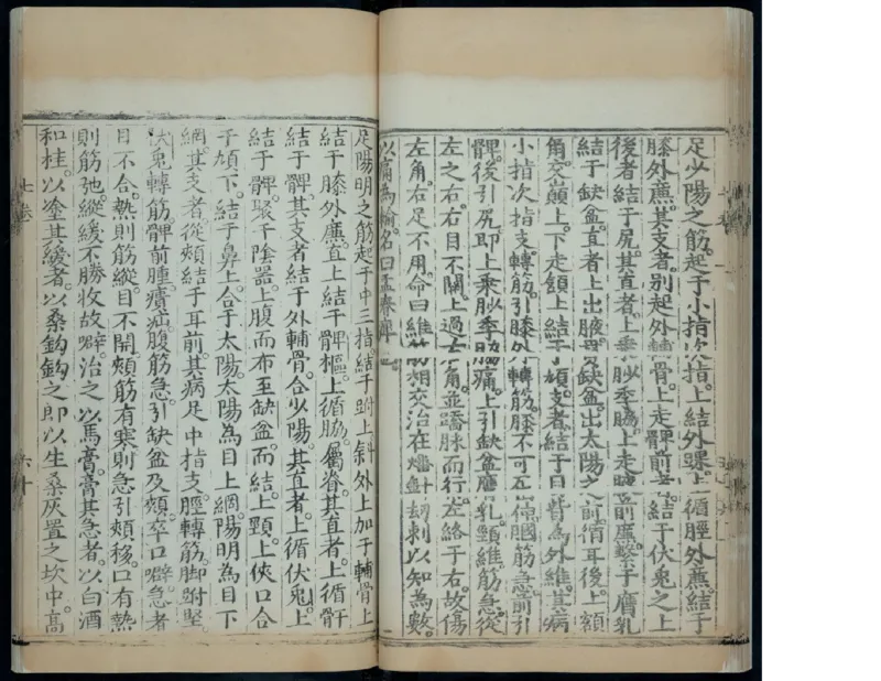 10_绝版书_天涯系列_t涯_绝版古籍电子书合集（13大类）_医书类_针灸大成