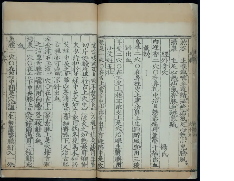 10_绝版书_天涯系列_t涯_绝版古籍电子书合集（13大类）_医书类_针灸大成