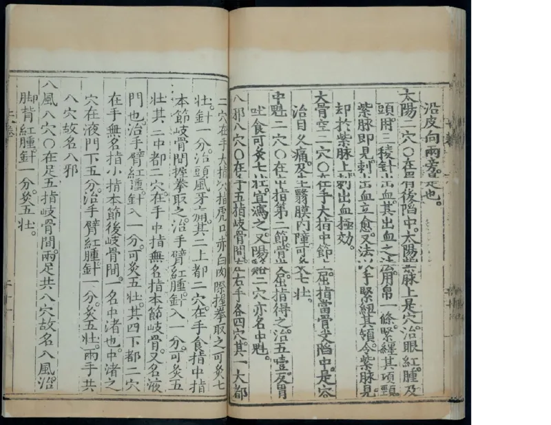 10_绝版书_天涯系列_t涯_绝版古籍电子书合集（13大类）_医书类_针灸大成