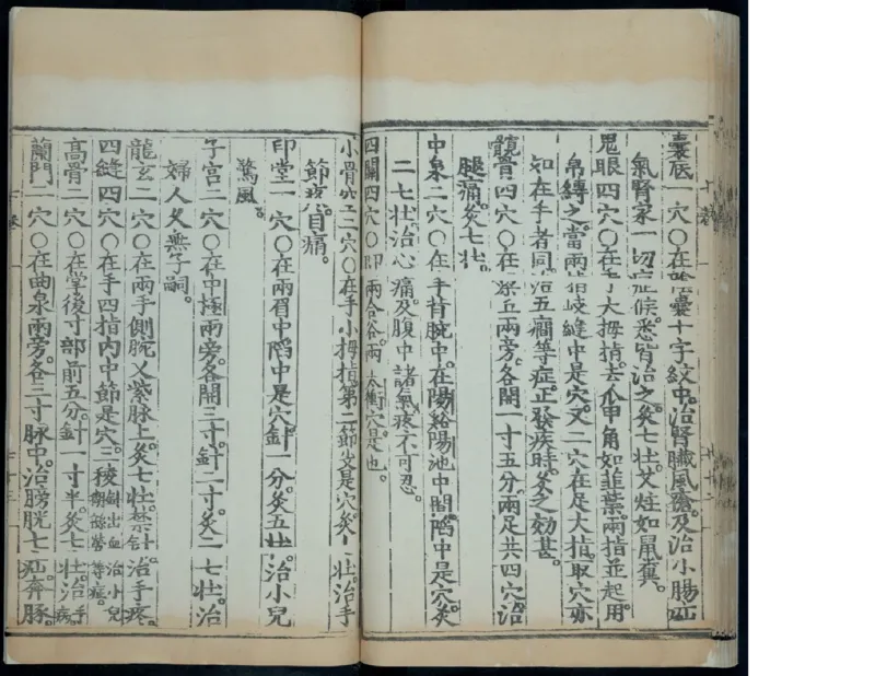 10_绝版书_天涯系列_t涯_绝版古籍电子书合集（13大类）_医书类_针灸大成