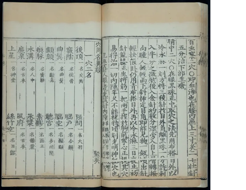 10_绝版书_天涯系列_t涯_绝版古籍电子书合集（13大类）_医书类_针灸大成