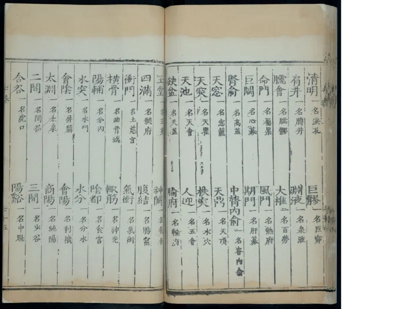 10_绝版书_天涯系列_t涯_绝版古籍电子书合集（13大类）_医书类_针灸大成