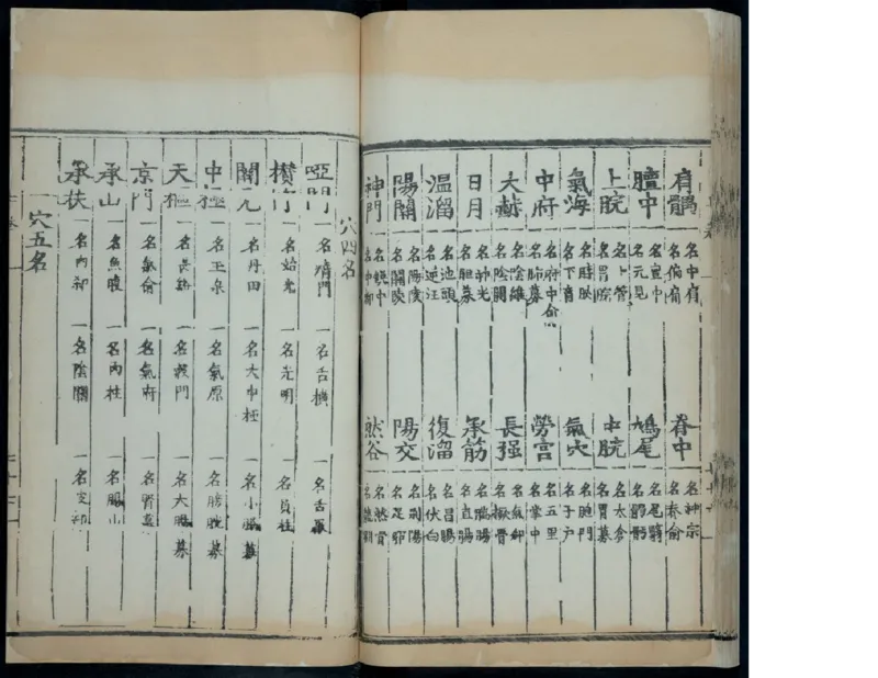 10_绝版书_天涯系列_t涯_绝版古籍电子书合集（13大类）_医书类_针灸大成