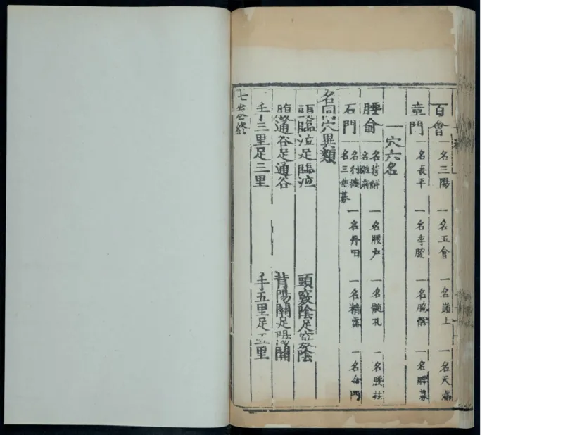 10_绝版书_天涯系列_t涯_绝版古籍电子书合集（13大类）_医书类_针灸大成