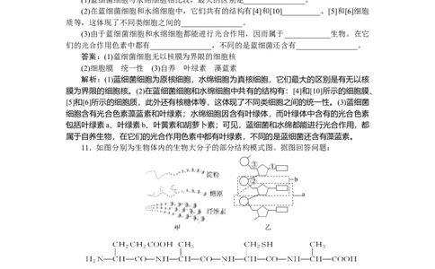 专练8_2025高中教辅（后续还会更新新习题试卷）_2025高中全科《微专题&middot;小练习》_2025高中全科《微专题小练习》_2025版&middot;微专题小练习&middot;生物学&middot;