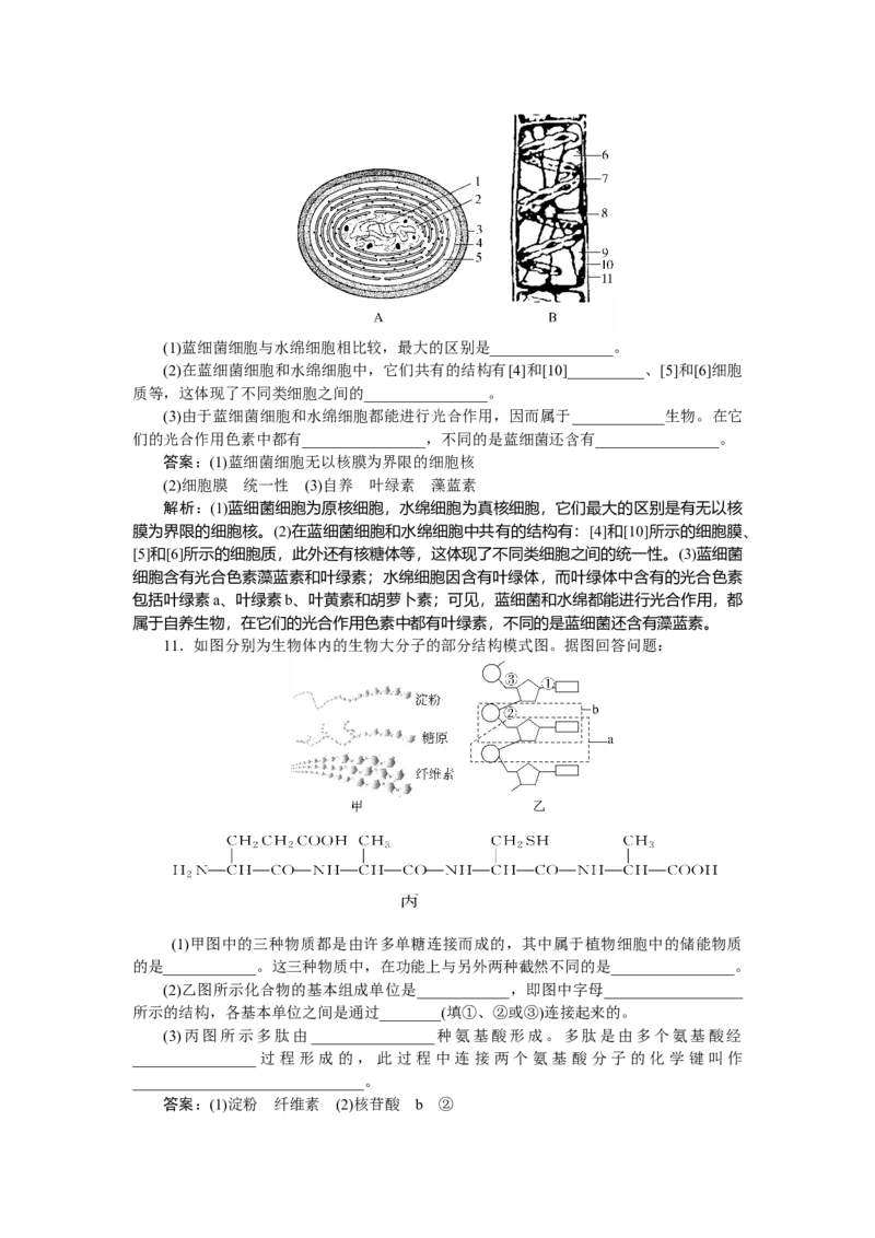 专练8_2025高中教辅（后续还会更新新习题试卷）_2025高中全科《微专题&middot;小练习》_2025高中全科《微专题小练习》_2025版&middot;微专题小练习&middot;生物学&middot;