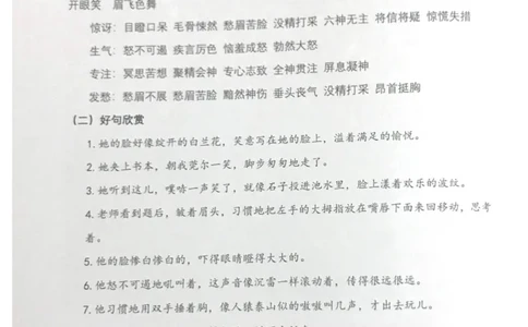 新文档20190427223042898_小学生作文专项名师课合集16套小学~视频+PDF_022.跟谁学无忧作文_05第五课