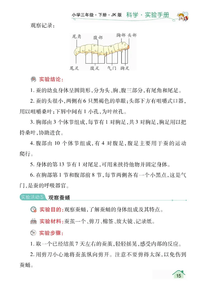 教科3下实验手册_三年级上下册资料_小学三年级学习资料-25年更新版_3-10、小学三年级科学下册_教科版_知识点