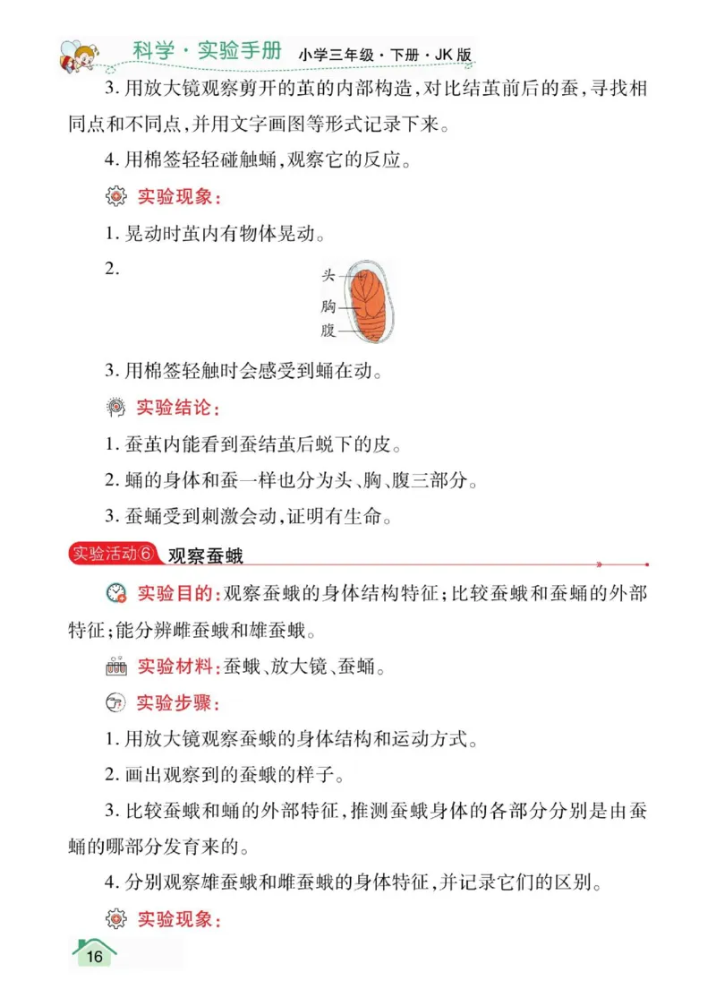 教科3下实验手册_三年级上下册资料_小学三年级学习资料-25年更新版_3-10、小学三年级科学下册_教科版_知识点