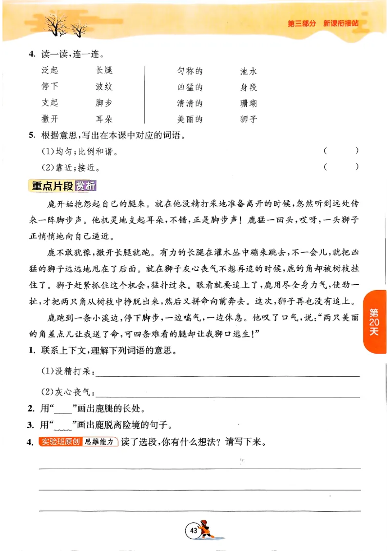 实验班寒假衔接三年级语文_三年级上下册资料_53黄冈多个品牌系列资料_语文